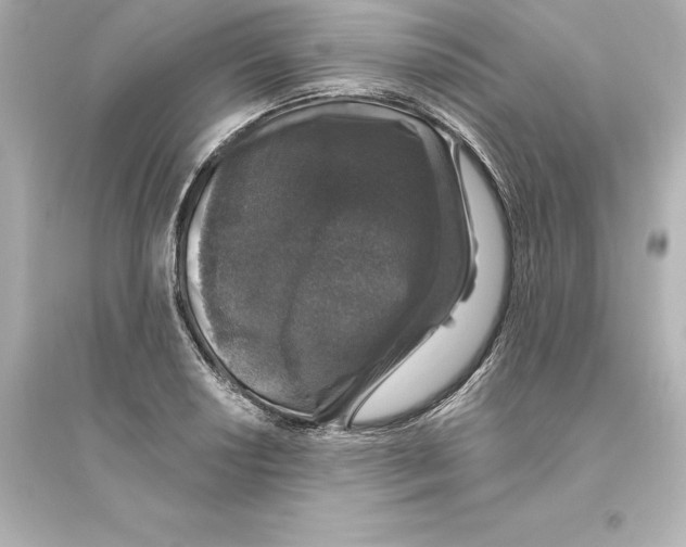 X0000093621034200711121231