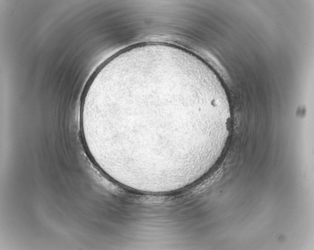 X0000093621036200711121231