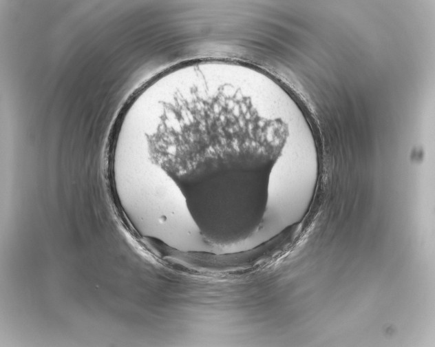 X0000093621037200711121231