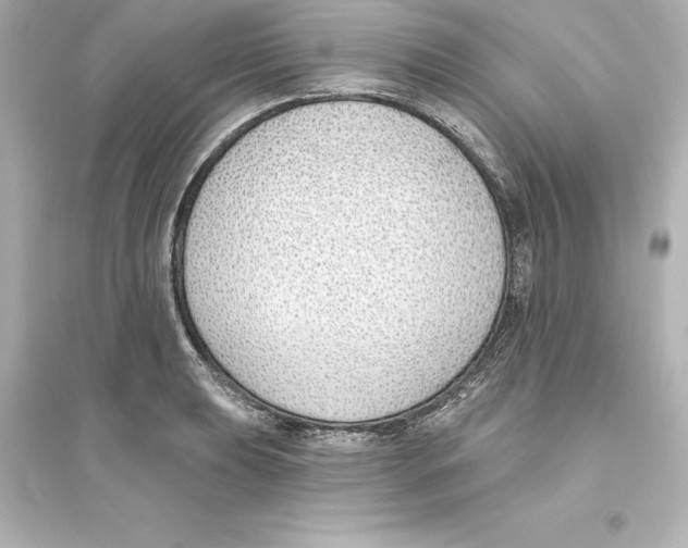 X0000093621039200711121231