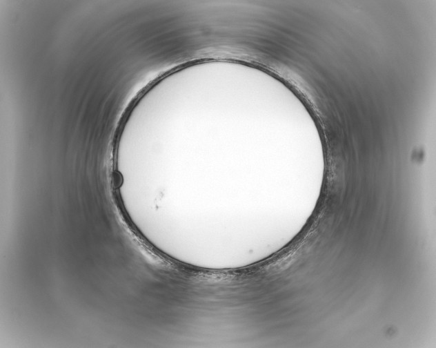 X0000093621040200711121231