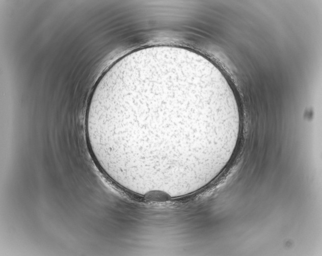 X0000093621041200711121231