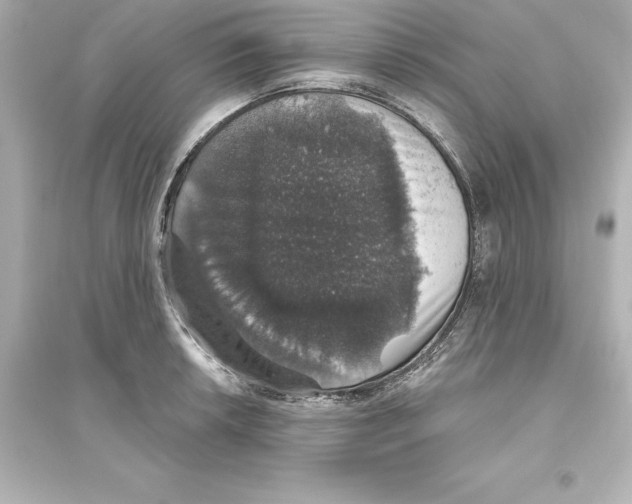 X0000093621042200711121231