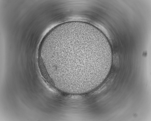 X0000093621043200711121231