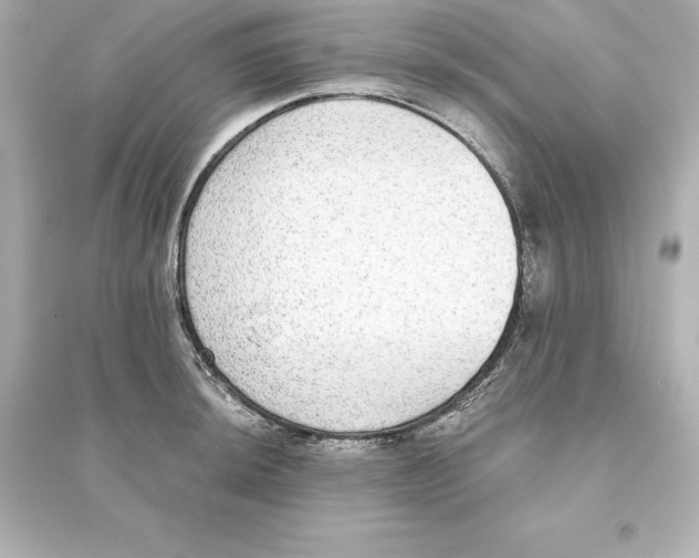 X0000093621044200711121231