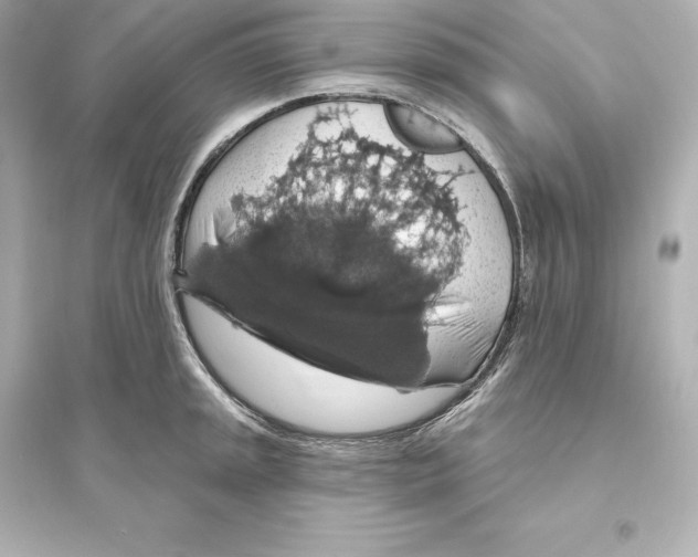 X0000093621045200711121231