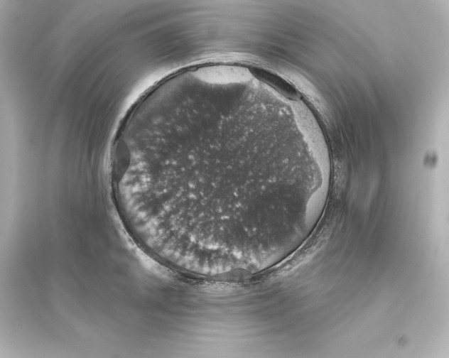 X0000093621046200711121231