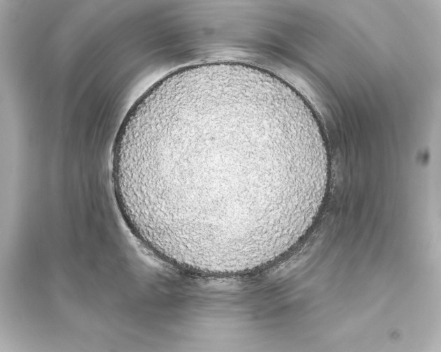 X0000093621047200711121231