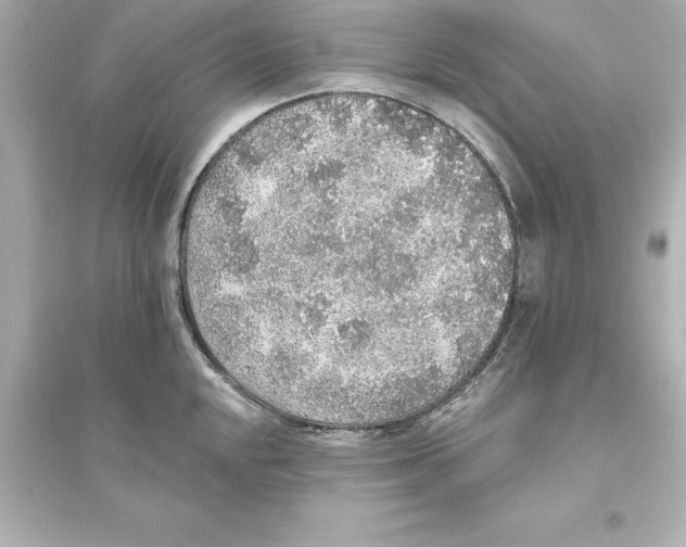 X0000093621048200711121231