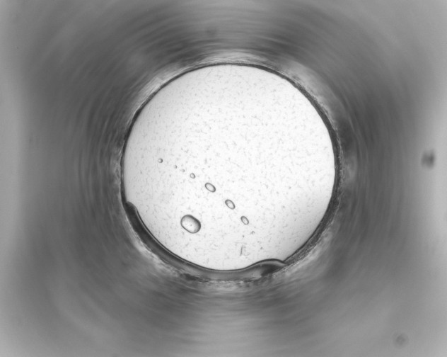 X0000093621049200711121231