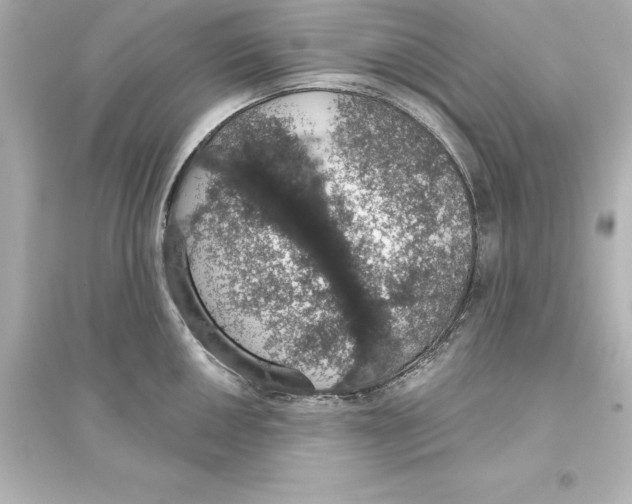 X0000093621050200711121231