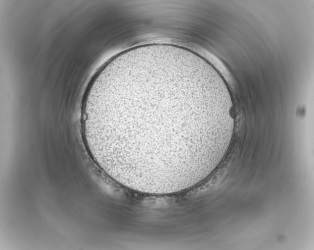 X0000093621051200711121231