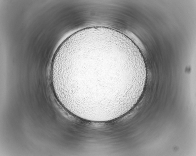 X0000093621052200711121231