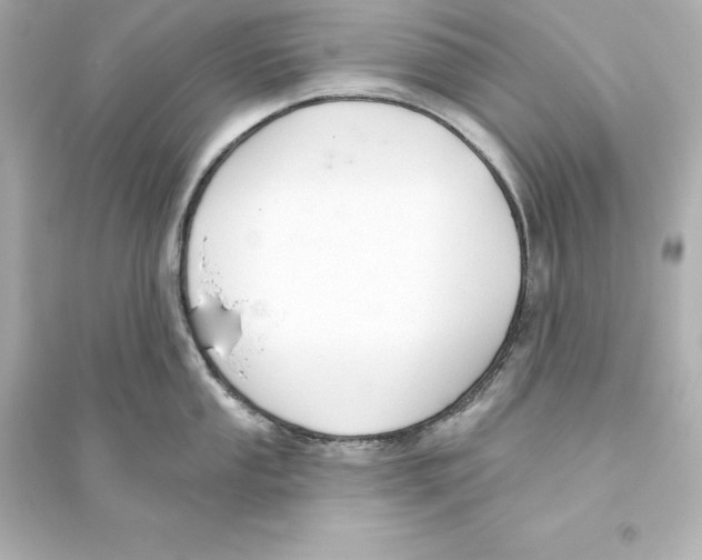 X0000093621053200711121231