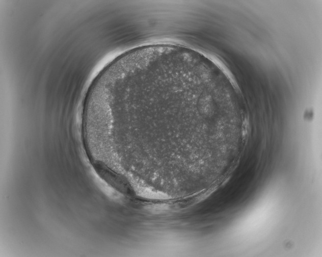 X0000093621054200711121231