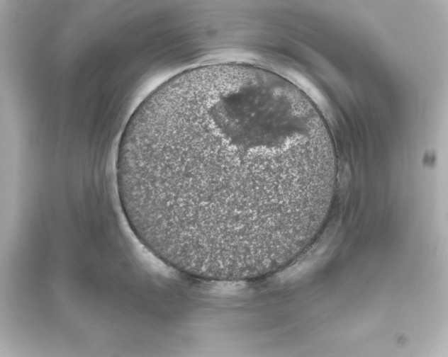 X0000093621055200711121231