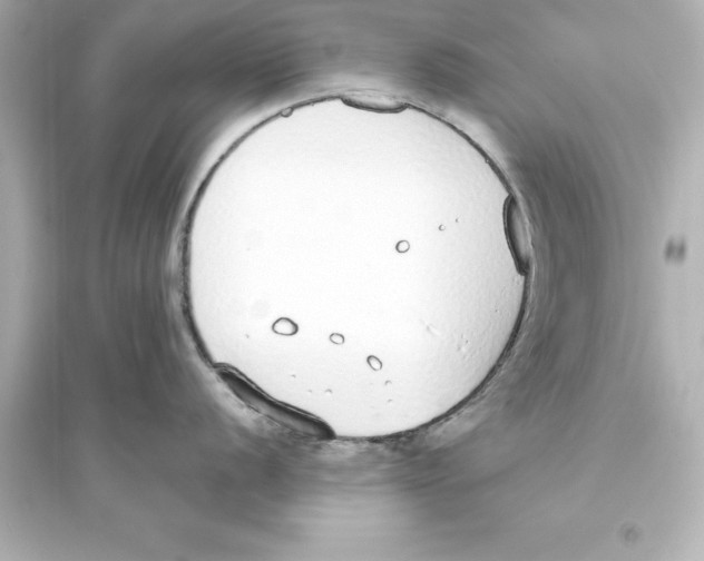 X0000093621056200711121231