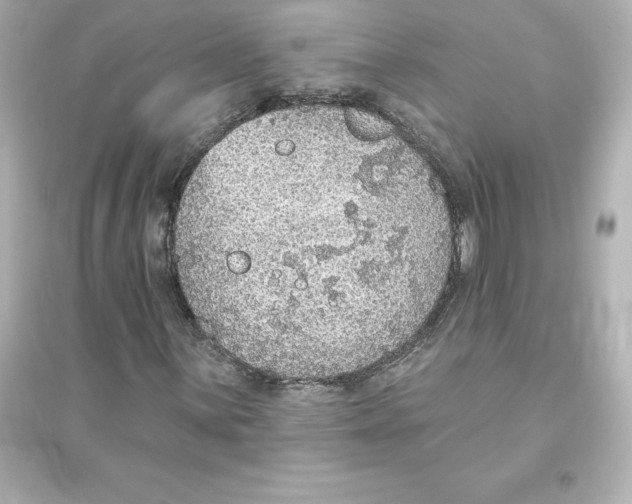 X0000093621059200711121230