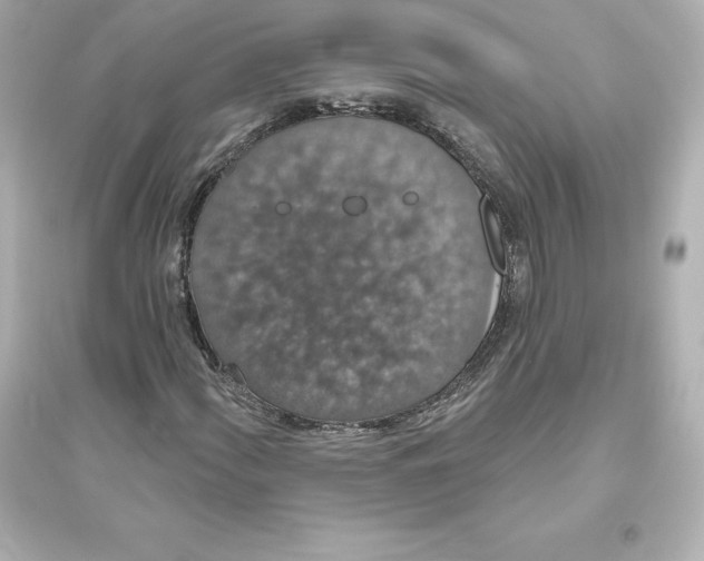 X0000093621060200711121230