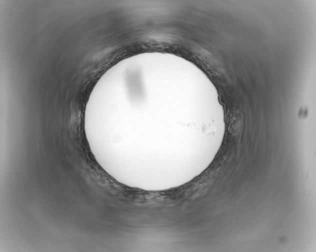 X0000093621061200711121230