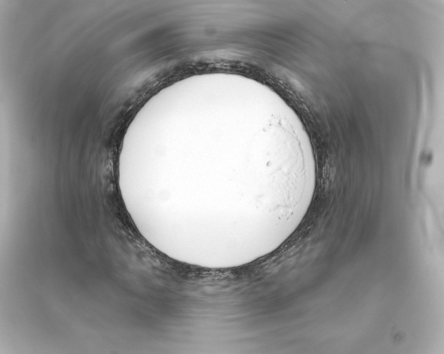 X0000093621062200711121230