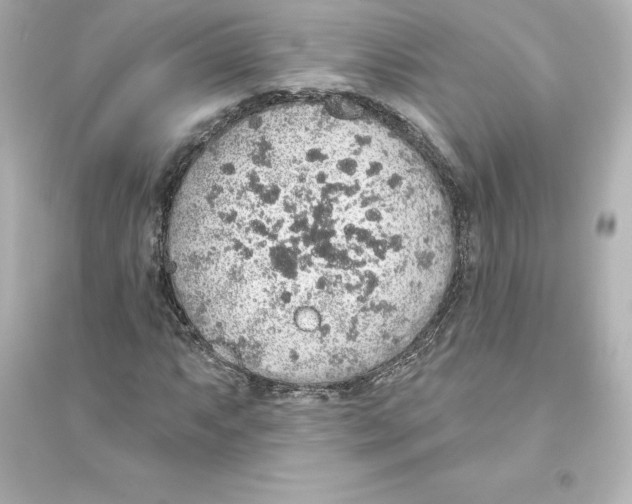 X0000093621063200711121230