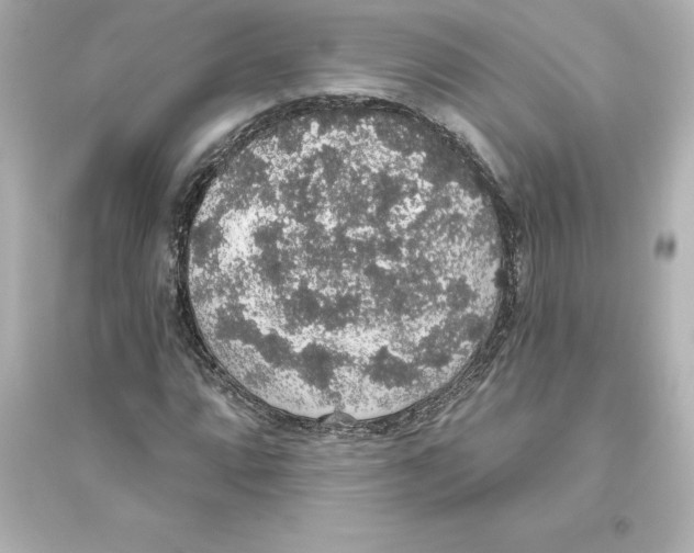 X0000093621064200711121230