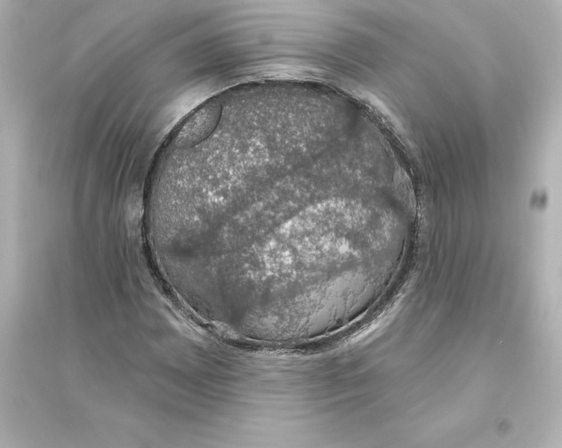 X0000093621065200711121230