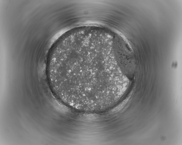 X0000093621066200711121230