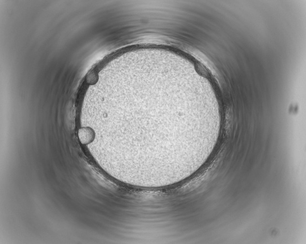 X0000093621067200711121230