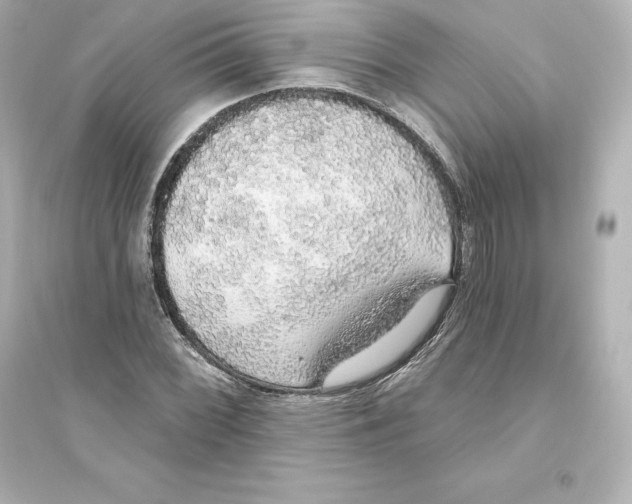 X0000093621068200711121230