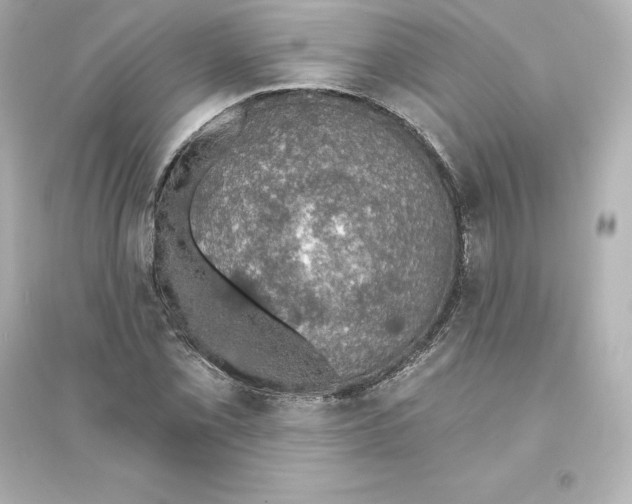 X0000093621069200711121230