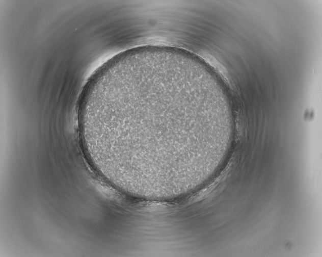 X0000093621070200711121230