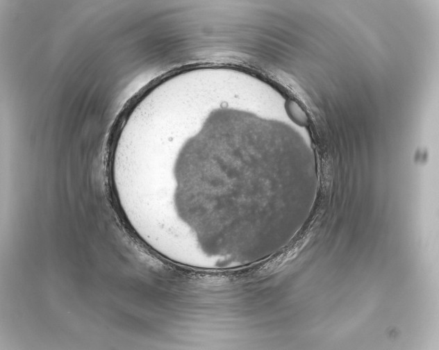 X0000093621071200711121230