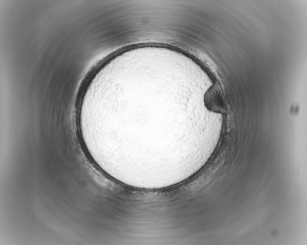 X0000093621072200711121230