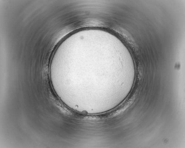 X0000093621073200711121230