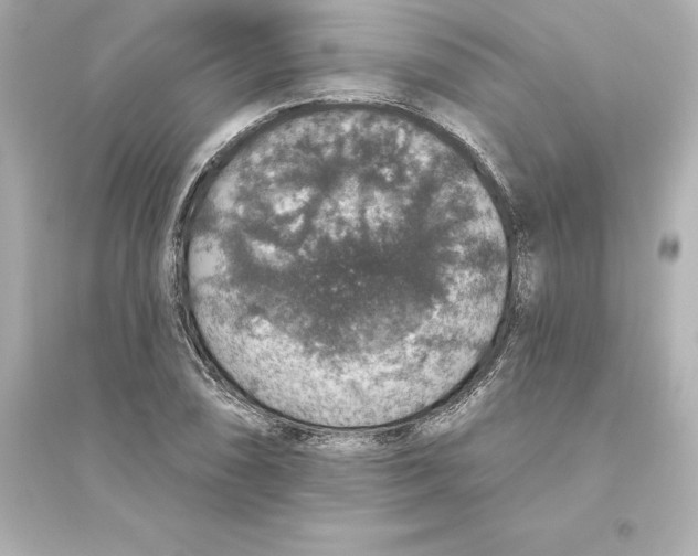 X0000093621074200711121230