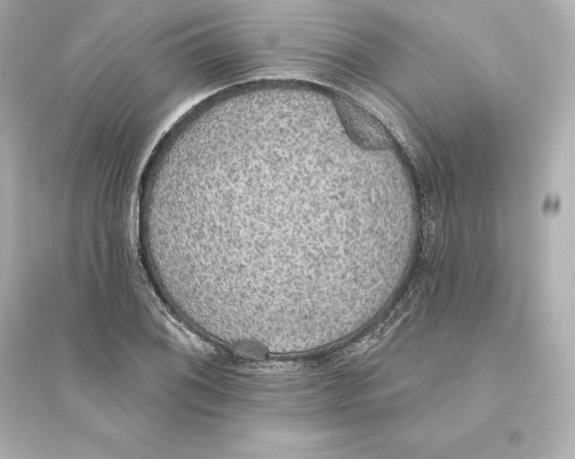 X0000093621076200711121230