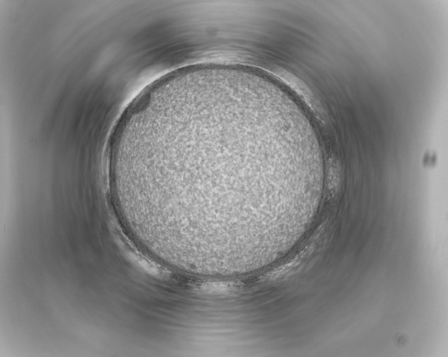 X0000093621078200711121230