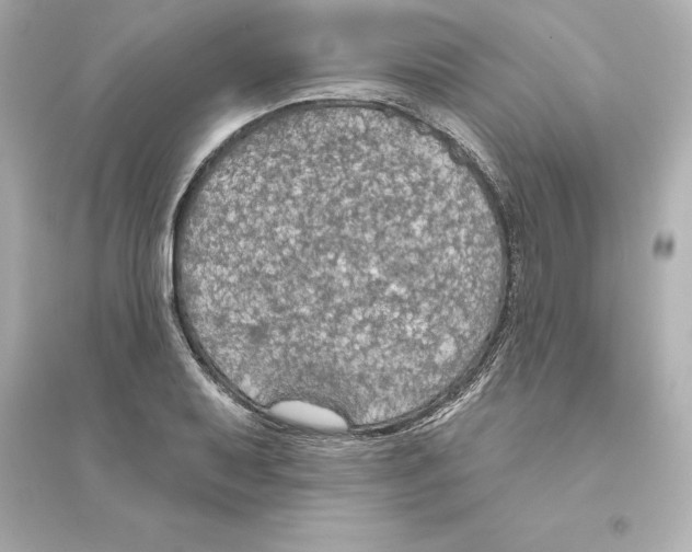 X0000093621079200711121230