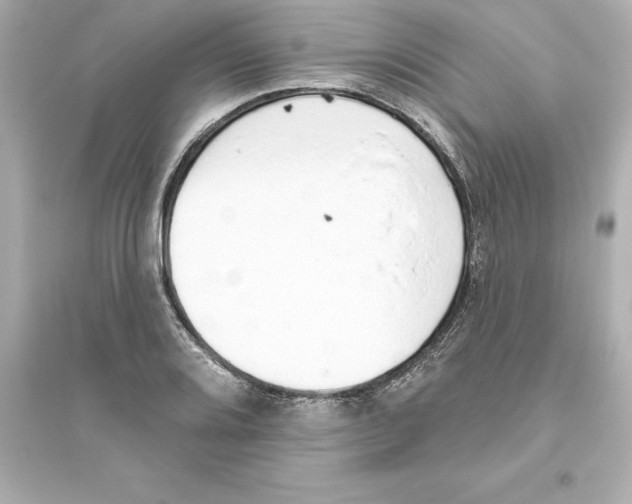 X0000093621080200711121230