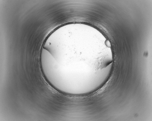 X0000093621081200711121230