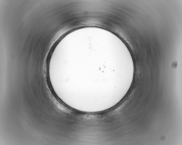 X0000093621082200711121230