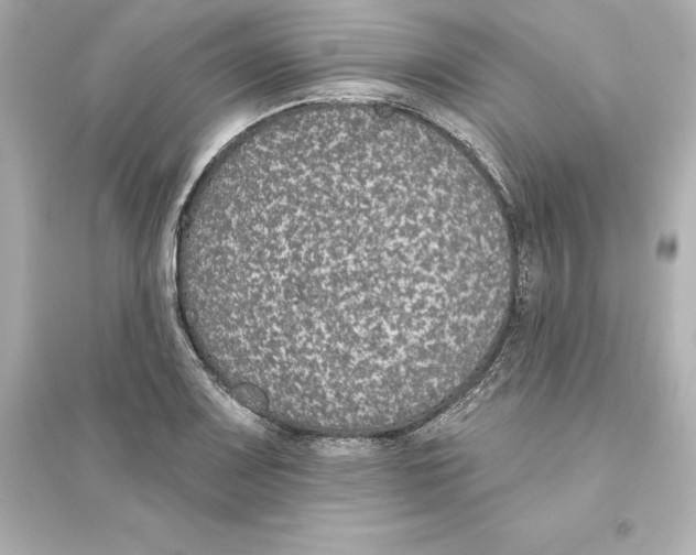 X0000093621083200711121230