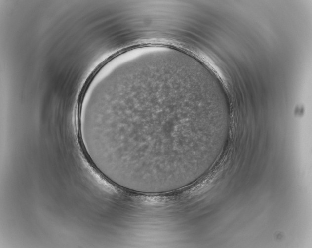 X0000093621084200711121230