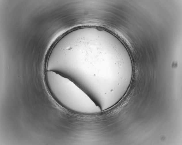 X0000093621085200711121230