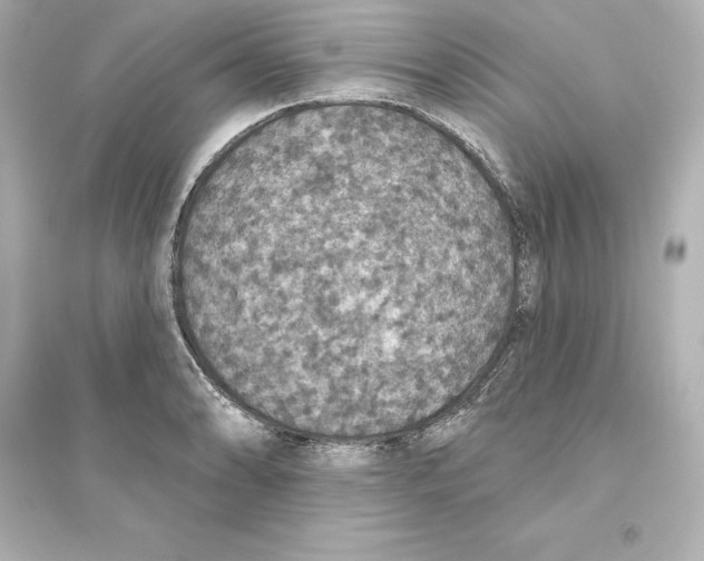 X0000093621086200711121230