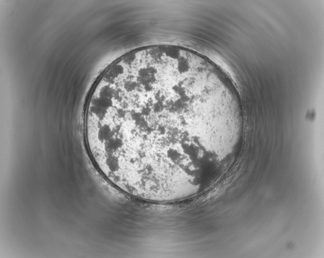 X0000093621088200711121230