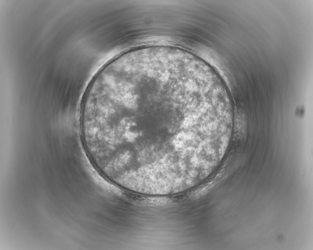 X0000093621090200711121230