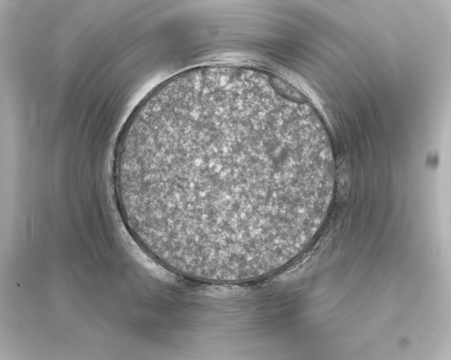 X0000093621091200711121230